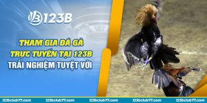 66 Tham gia da ga truc tuyen tai 123B – Trai nghiem tuyet voi