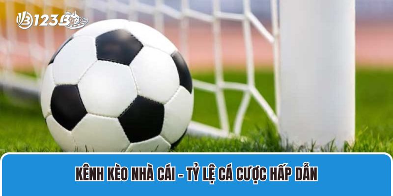 kenh keo nha cai – ty le ca cuoc hap dan