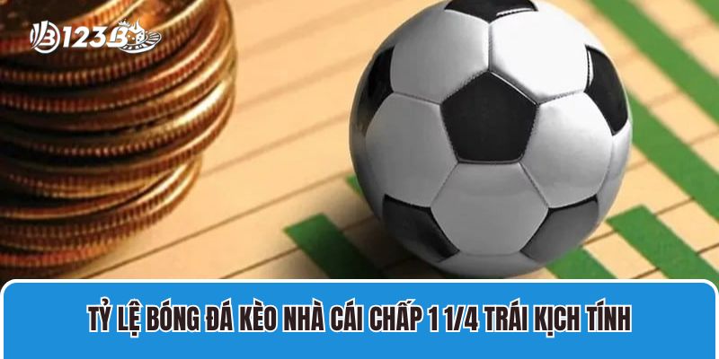 Tỷ lệ bóng đá kèo nhà cái chấp 1 1/4 trái kịch tính