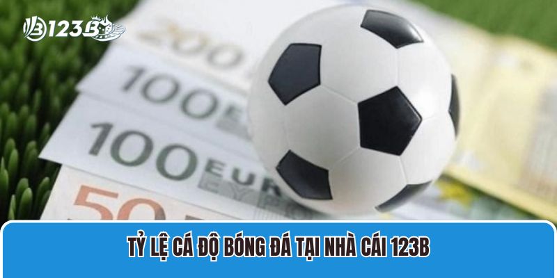 Tỷ lệ cá độ bóng đá tại nhà cái 123B