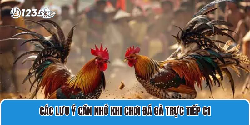 Đá Gà Trực Tiếp C1 Hôm Nay Chất Lượng Cao Có Bình Luận 4 Các lưu ý cần nhớ khi chơi đá gà trực tiếp C1
