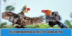 Hé Lộ Kinh Nghiệm Đá Gà Trực Tiếp Casino Ăn Tiền