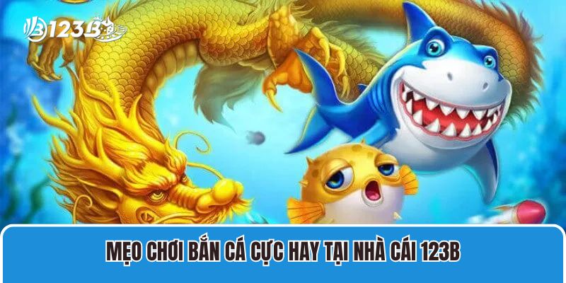 Mẹo chơi bắn cá cực hay tại nhà cái 123B