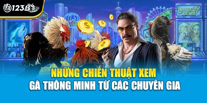 Những chiến thuật xem gà thông minh từ các chuyên gia