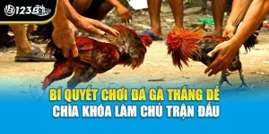 Bí Quyết Chơi Đá Gà Thắng Dễ - Chìa Khóa Làm Chủ Trận Đấu