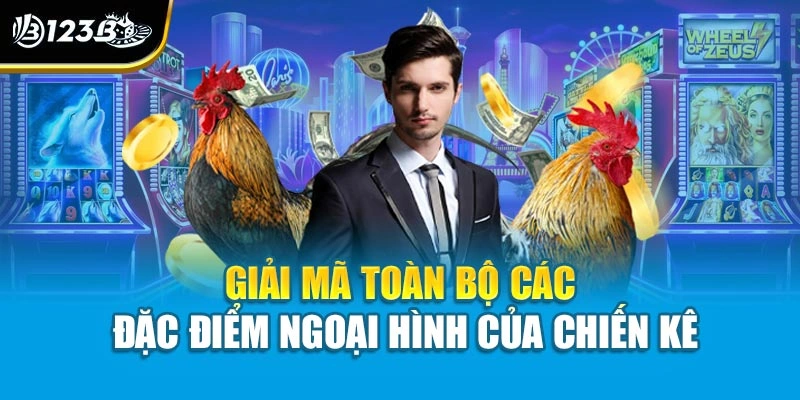Giải mã toàn bộ các đặc điểm ngoại hình của chiến kê