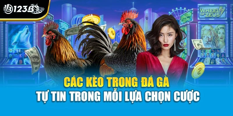 Các Kèo Trong Đá Gà - Tự Tin Trong Mỗi Lựa Chọn Cược 1 Các Kèo Trong Đá Gà - Tự Tin Trong Mỗi Lựa Chọn Cược