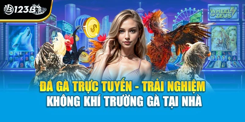 Đá Gà Trực Tuyến - Trải Nghiệm Không Khí Trường Gà Tại Nhà 1 Đá Gà Trực Tuyến - Trải Nghiệm Không Khí Trường Gà Tại Nhà