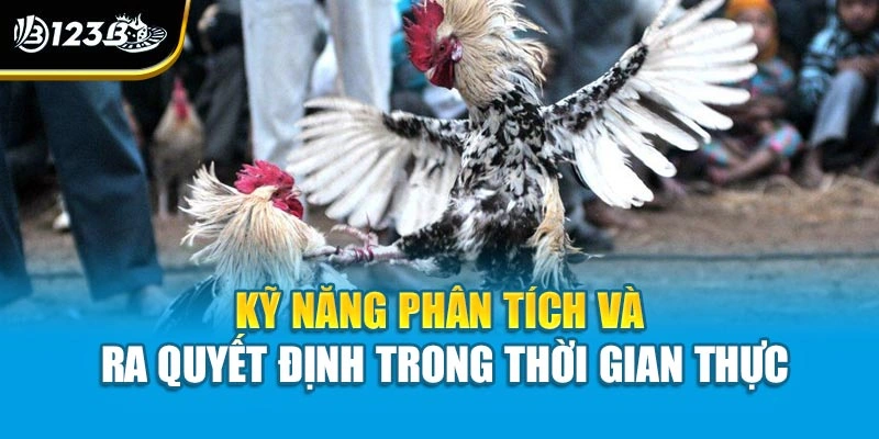 Kinh Nghiệm Đá Gà Online - Tự Tin Chiến Thắng Với Mẹo Hay 4 Kỹ năng phân tích và ra quyết định trong thời gian thực