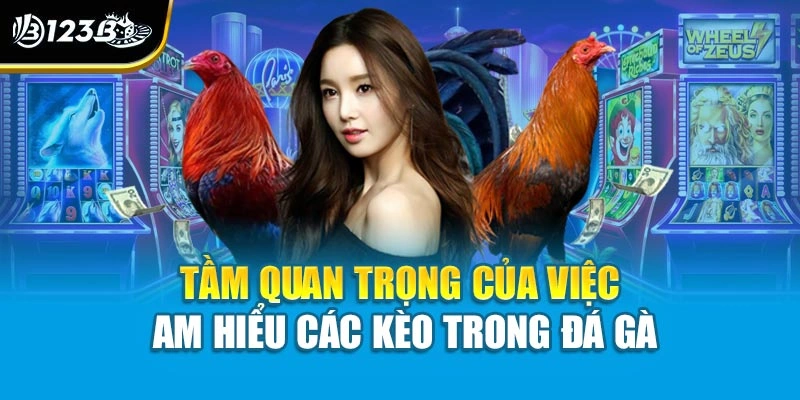 Các Kèo Trong Đá Gà - Tự Tin Trong Mỗi Lựa Chọn Cược 2 Tầm quan trọng của việc am hiểu các kèo trong đá gà