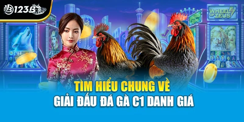 Tìm hiểu chung về giải đấu đá gà C1 danh giá