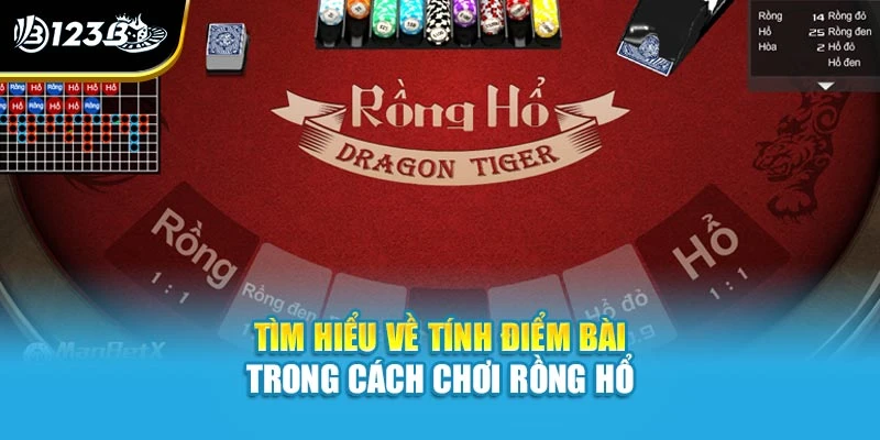 Tìm hiểu về tính điểm bài trong cách chơi rồng hổ